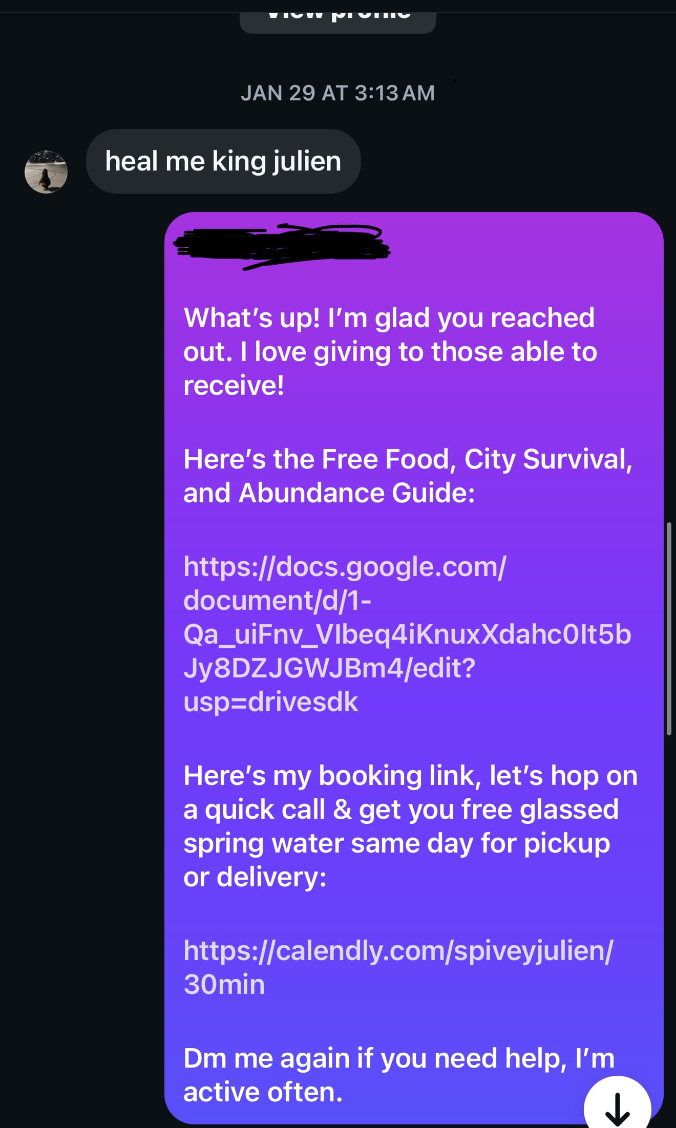 Screenshot of a direct message offering a survival guide and spring water booking links.
